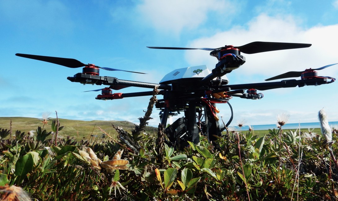 9 IMS Shrubcopter.jpg