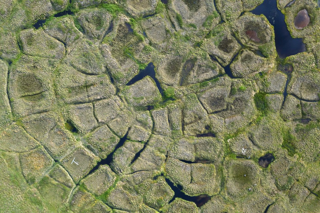 4 JTK Permafrost polygons