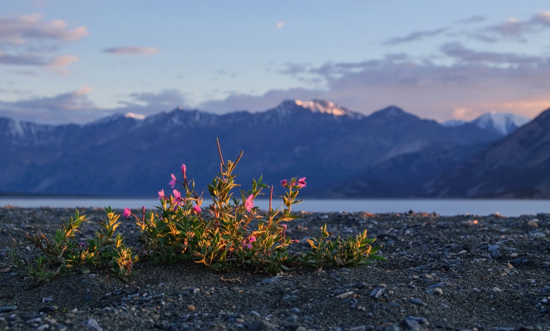 4 SAB Evening Colours